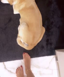 Elisabetta Franchi feet photo thumbnail