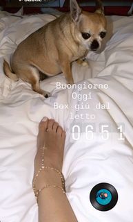 Elisabetta Franchi feet photo thumbnail