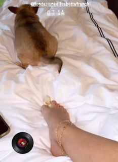 Elisabetta Franchi feet photo thumbnail