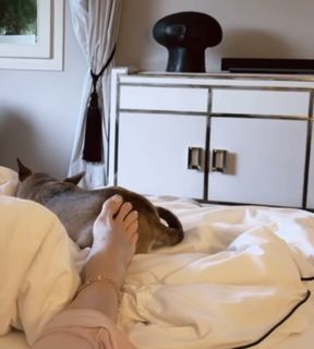 Elisabetta Franchi feet photo thumbnail