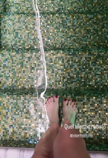Elisabetta Franchi feet photo 20