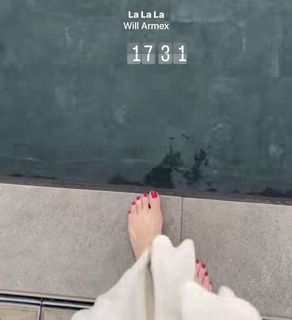 Elisabetta Franchi feet photo 8