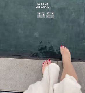 Elisabetta Franchi feet photo 7