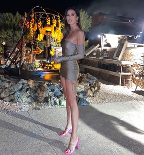 Elisabetta Gregoraci feet photo 11