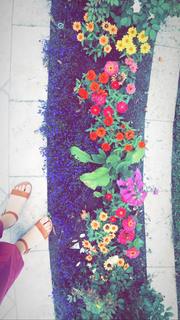 Elise Trouw feet photo 11