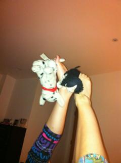 Eliza Bennett feet photo 3