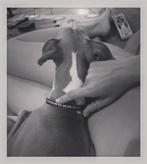 Eliza Dushku feet photo thumbnail