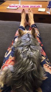 Eliza Taylor feet photo thumbnail