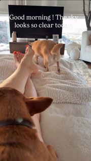 Elizabeth Daily feet photo 4