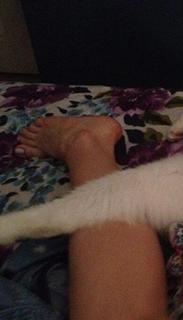 Elizabeth Dwyer feet photo 6