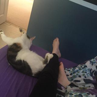 Elizabeth Dwyer feet photo 2