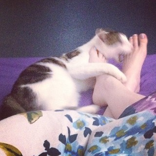 Elizabeth Dwyer feet photo 11