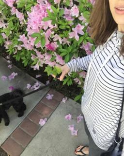 Elizabeth Henstridge feet photo thumbnail