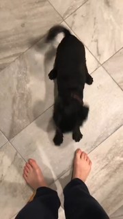 Elizabeth Henstridge feet photo thumbnail