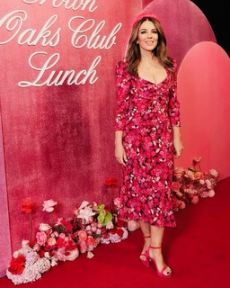 Elizabeth Hurley feet photo thumbnail
