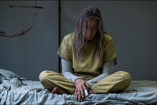 Elizabeth Marvel feet photo 1