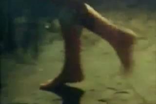 Elizabeth Montgomery feet photo thumbnail
