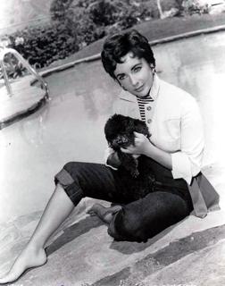 Elizabeth Taylor feet photo thumbnail