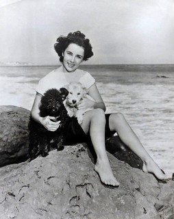Elizabeth Taylor feet photo thumbnail