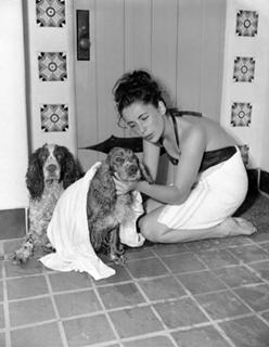 Elizabeth Taylor feet photo thumbnail