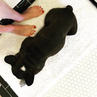 Elizabeth Tulloch feet photo thumbnail