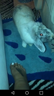 Elke Madler feet photo 12