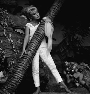 Elke Sommer feet photo thumbnail