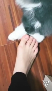 Ella Cruz feet photo 2