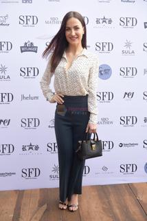 Elli Avrram feet photo thumbnail