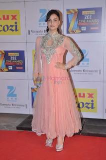 Elli Avrram feet photo thumbnail