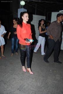 Elli Avrram feet photo thumbnail