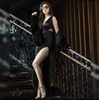Elnaaz Norouzi feet photo 18
