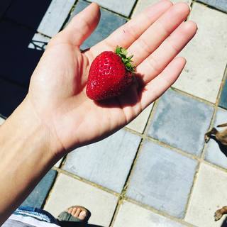 Elodie Yung feet photo thumbnail