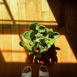 Eloise Mumford feet photo 4