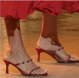 Elsa Benitez feet photo 4