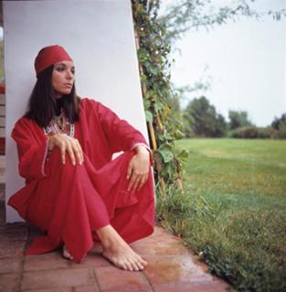 Elsa Martinelli feet photo 18