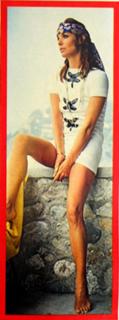Elsa Martinelli feet photo 14