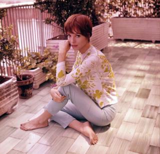Elsa Martinelli feet photo 14