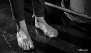 Elsa Martinelli feet photo 19