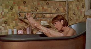 Elsa Martinelli feet photo 16