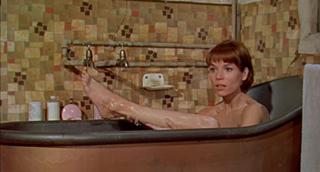 Elsa Martinelli feet photo 14