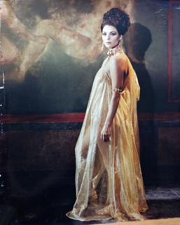 Elsa Martinelli feet photo 11