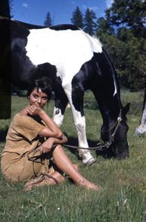 Elsa Martinelli feet photo 6
