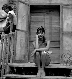 Elsa Martinelli feet photo 13