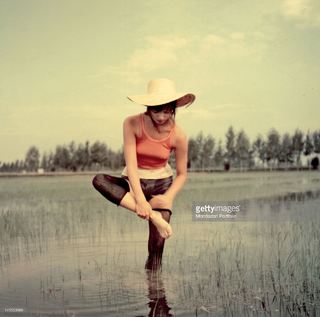 Elsa Martinelli feet photo 11