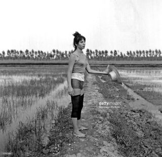 Elsa Martinelli feet photo 10