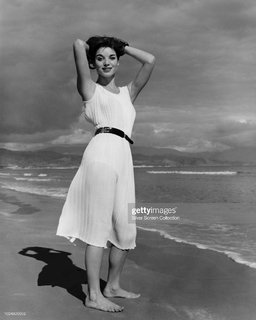 Elsa Martinelli feet photo 13
