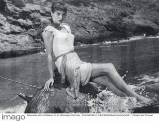 Elsa Martinelli feet photo 7