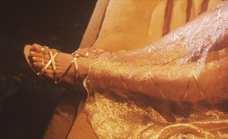 Elsa Martinelli feet photo 3