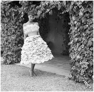 Elsa Martinelli feet photo 14
